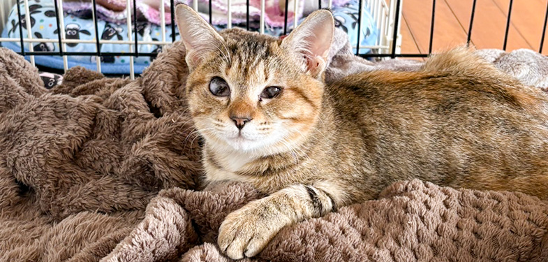 340/�����݂����