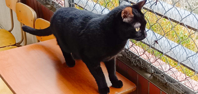 349/���͂��N