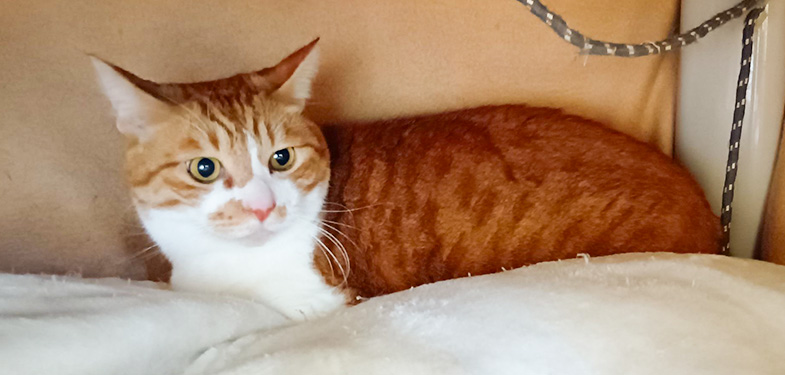 350/������N