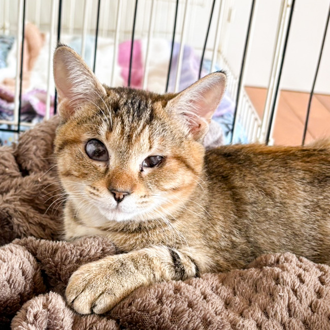 340/������