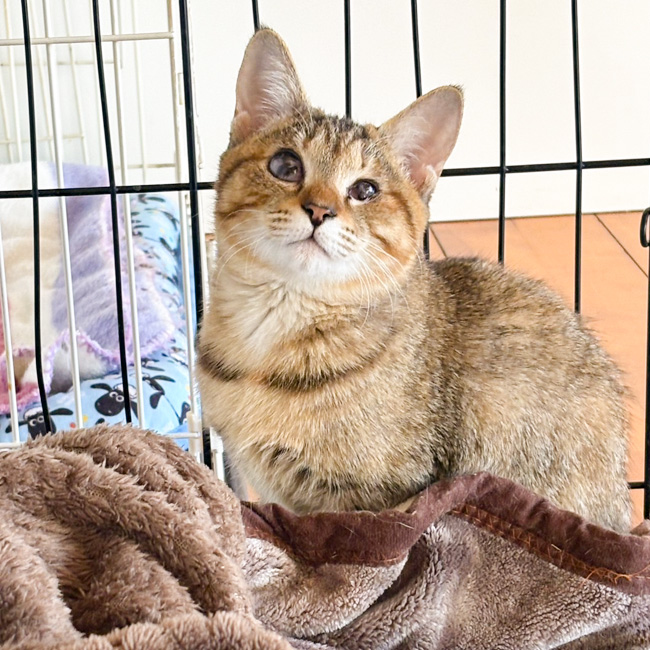 340/������