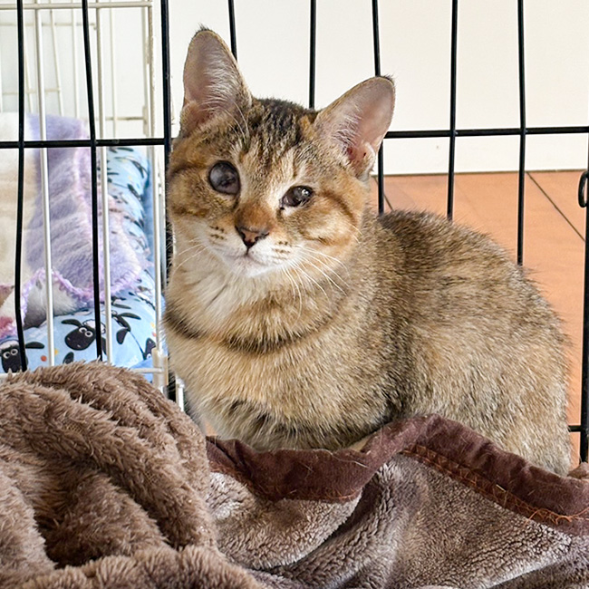 340/������