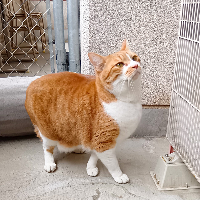 350/������