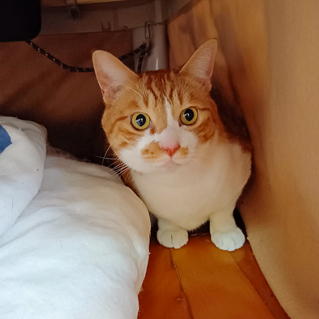 350/������