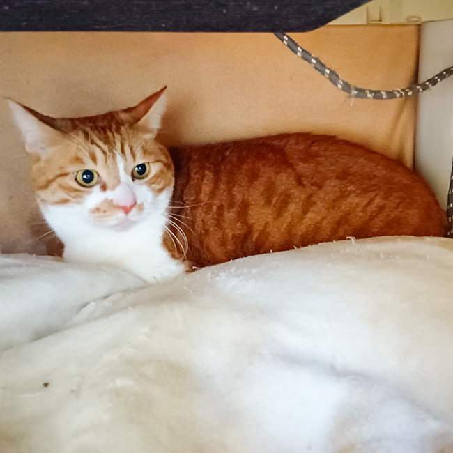 350/������