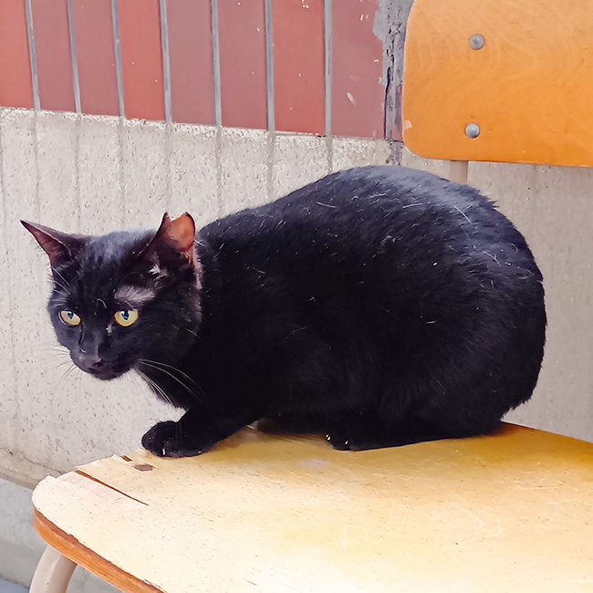 356/���J