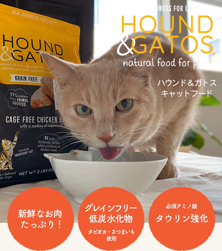 ハウンド＆ガトス　キャットフード