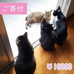 寄付10000円（商品無し）