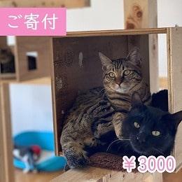 寄付3000円（商品無し）