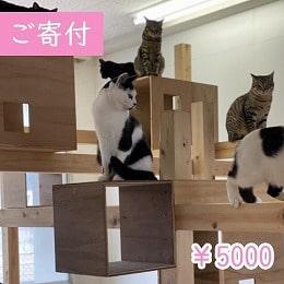 寄付5000円（商品無し）