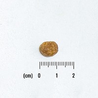 NATURAL BALANCE ナチュラルバランス LID 成猫用 サーモン&グリーンピースレシピ 1.8kg（保護猫支援）（86638）