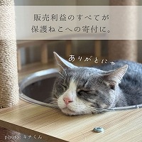 限定50個 ハロウィンクッキー缶 2025