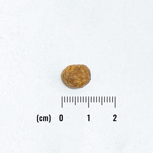 NATURAL BALANCE ナチュラルバランス LID 成猫用 サーモン&グリーンピースレシピ 1.8kg（保護猫支援）（86638）