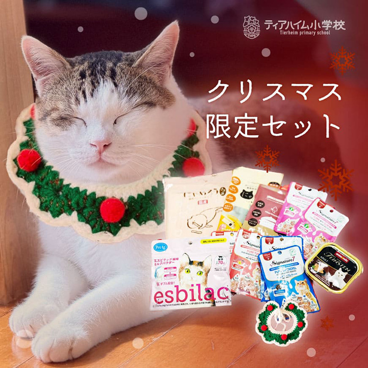 【数量限定/送料無料】にゃんこのごちそうクリスマスセット ニットカラー付き