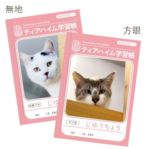 ロイ君ポーチ＋マスキングテープ＋学習帳２冊セット（ネコポス配達）